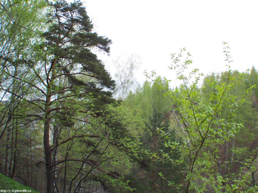 29386 (a): :1024x768